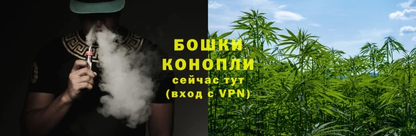 спиды Белокуриха
