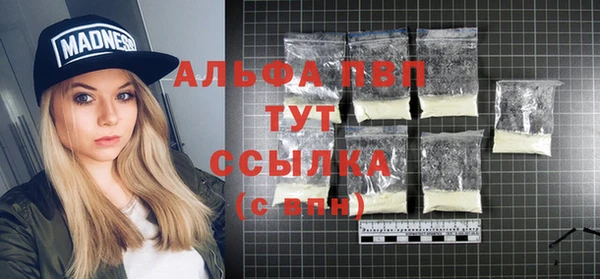 спиды Белокуриха