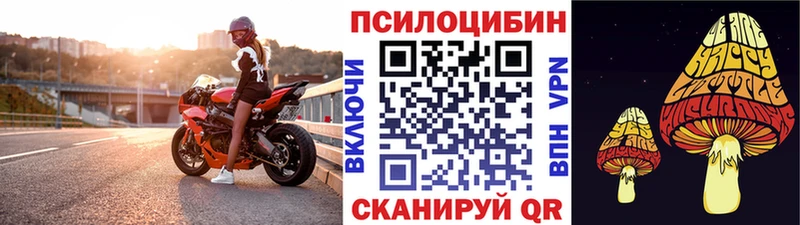 где можно купить наркотик  KRAKEN зеркало  Галлюциногенные грибы Psilocybine cubensis  Кунгур 