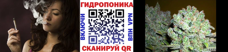 Шишки марихуана Bruce Banner  как найти наркотики  Кунгур 